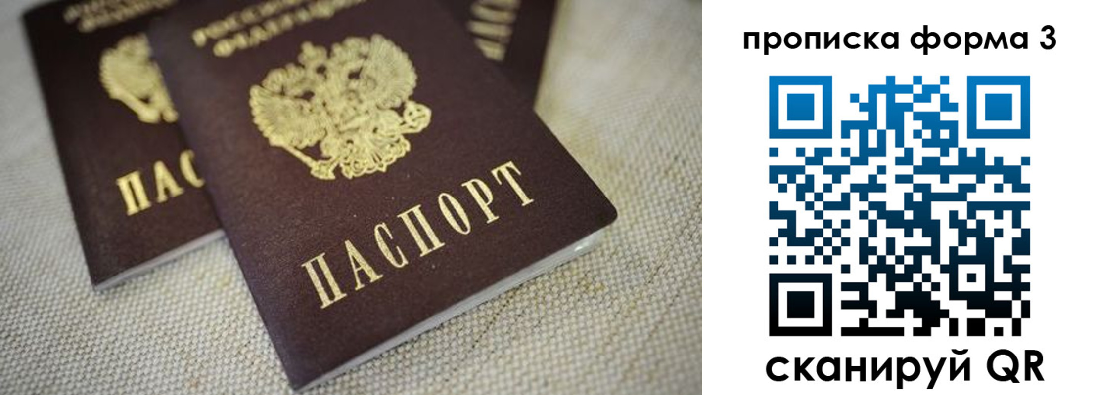 прописка поиск в Находке